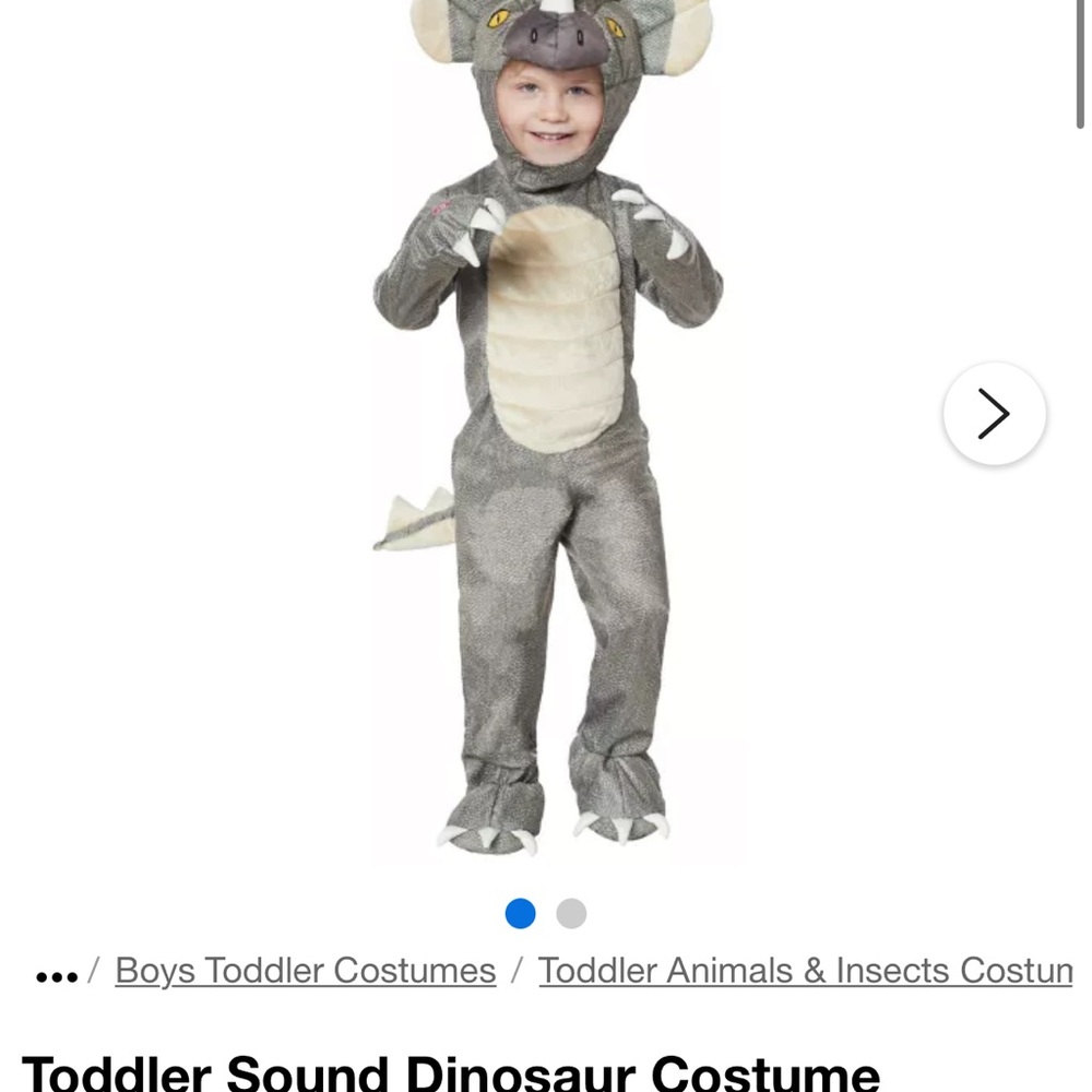 Adorable Gray Triceratops Toddler Costume